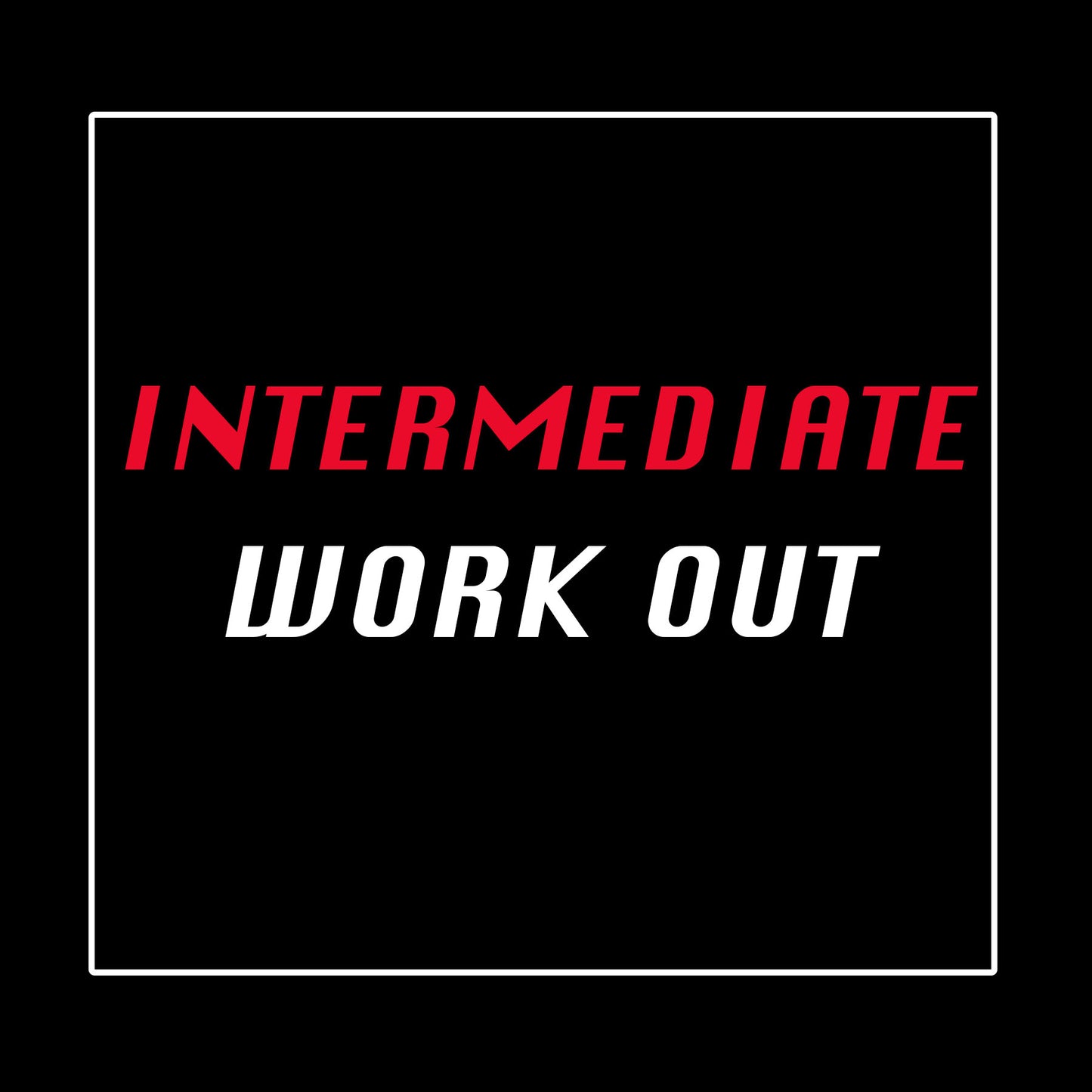 Intermediate Work Out Plan