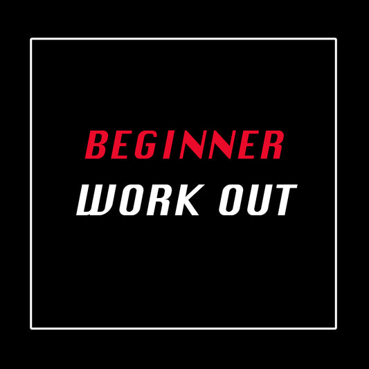 Beginner Work Out Plan