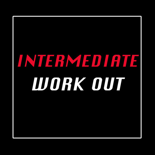 Intermediate Work Out Plan